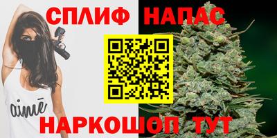 дмт Кинель
