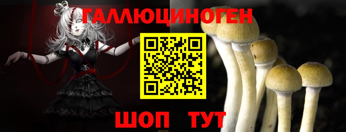Галлюциногенные грибы прущие грибы Кропоткин